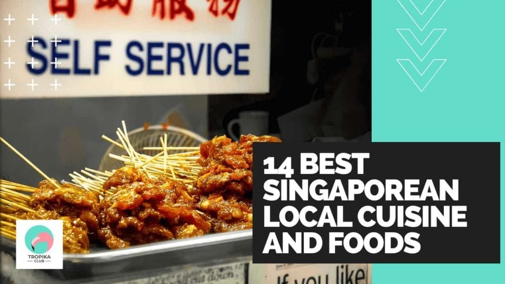 14 best Singaporean local cuisine and foods 