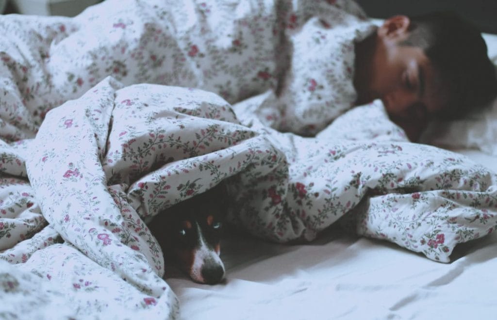 man lying on bed beside short-coated black dog