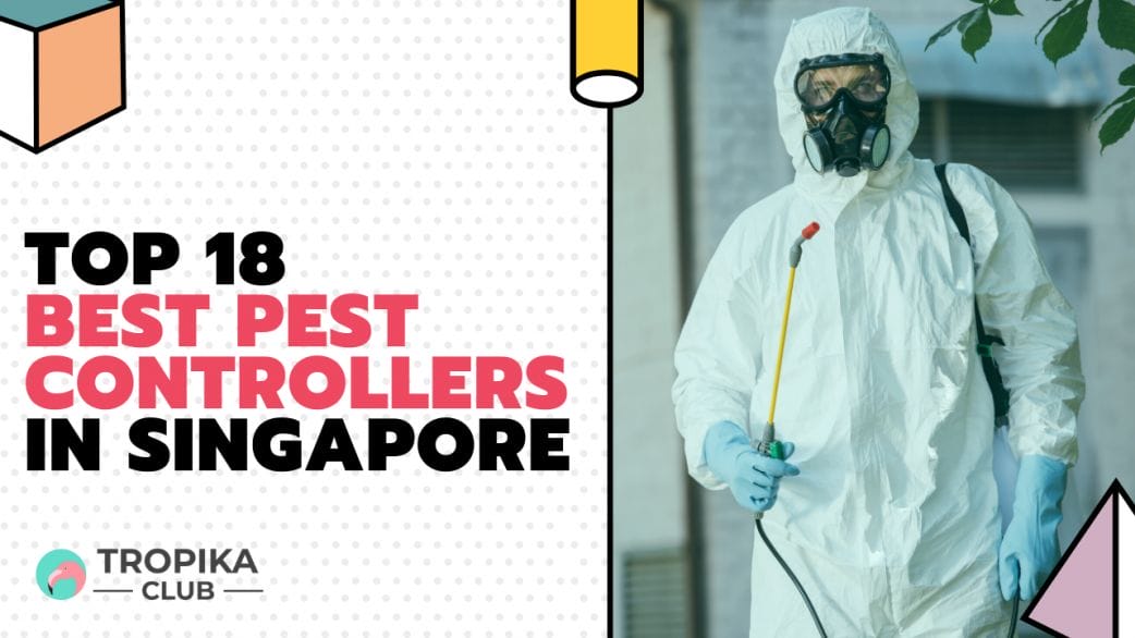 Best Pest Controllers in Singapore