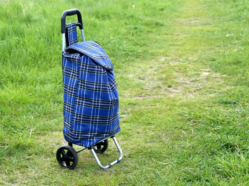 trolley bag for market