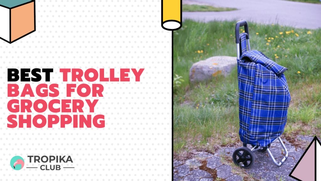 trolley bags for supermarket shopping