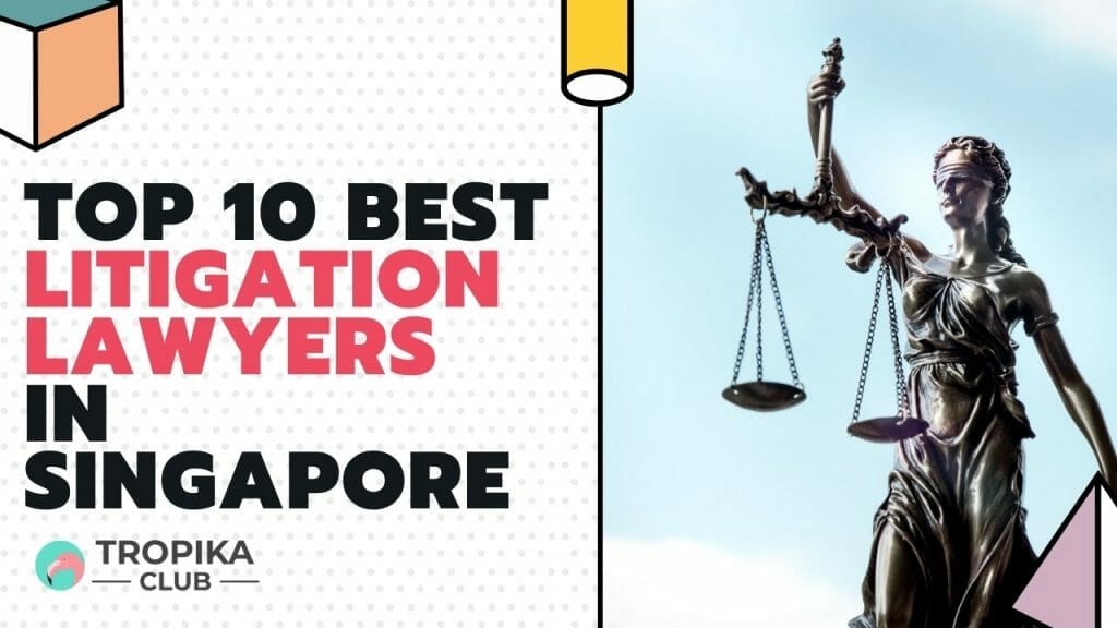 litigation
