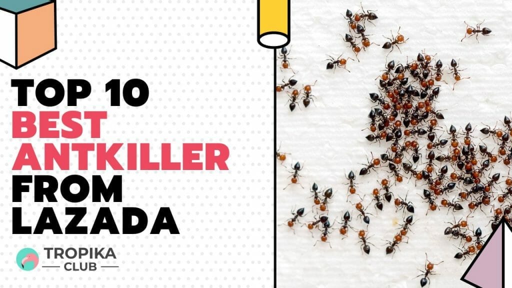 best antkiller